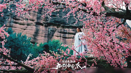 九陰白骨爪 降龍十八掌 相繼定檔,射雕ip開(kāi)發(fā)解鎖新模式