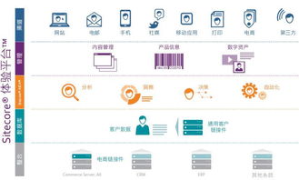 sitecore客戶體驗管理平臺定制開發(fā)